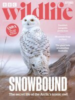 BBC Wildlife Magazine